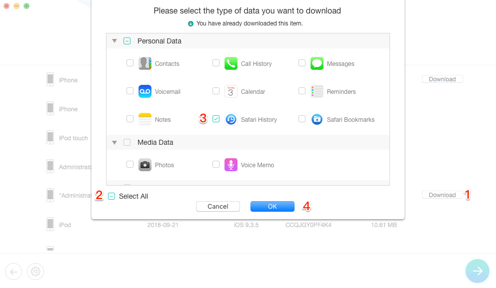 How to Recover Deleted Safari History on iPhone from iCloud Backup - Step 4