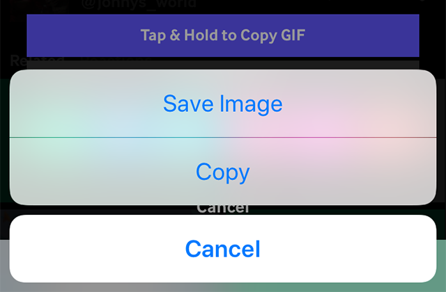 Saving GIFs on iOS 11 or later