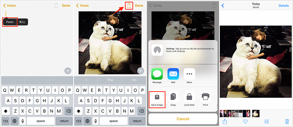 How to Save Instagram Photos on iPhone/iPad – Step 3