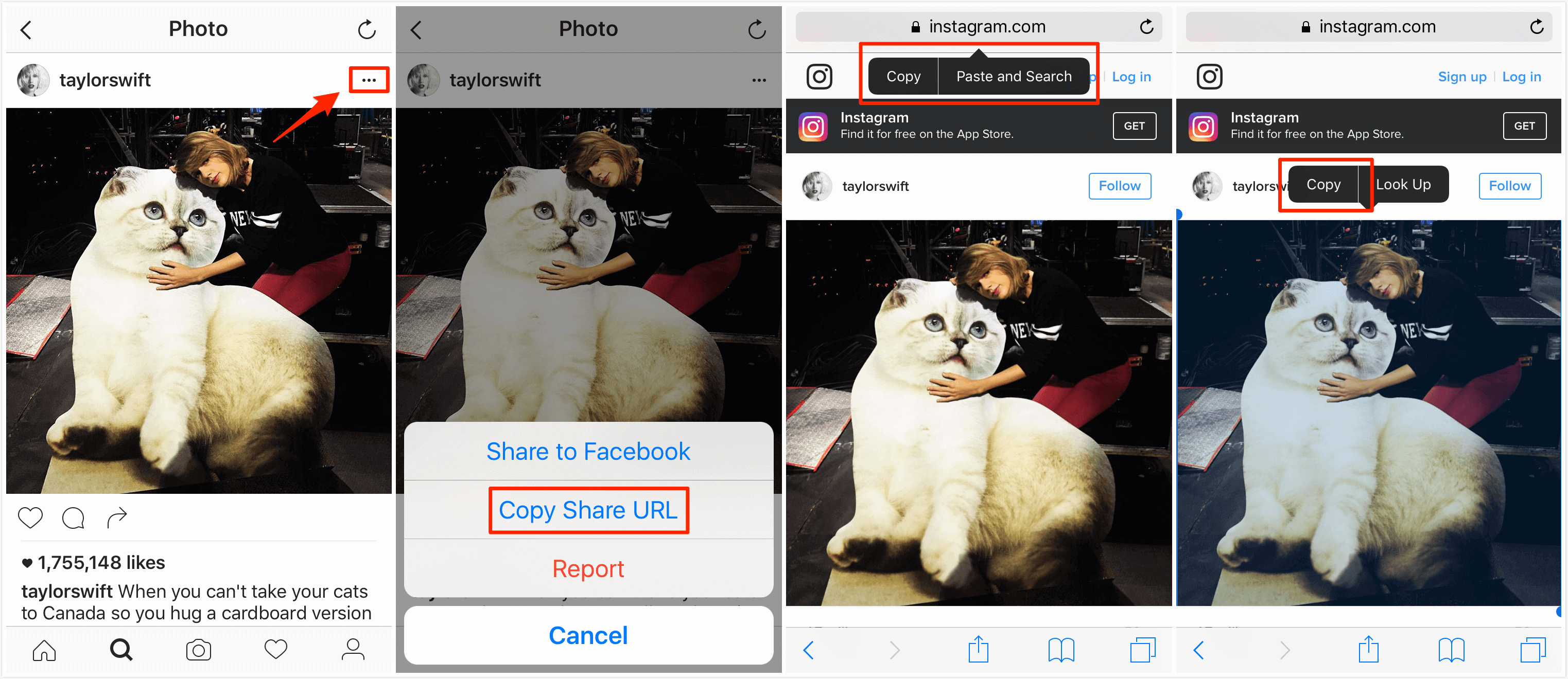 Instagram copy. Instagram save photo.