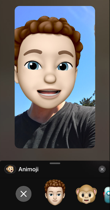 How to Use Memoji on FaceTime App