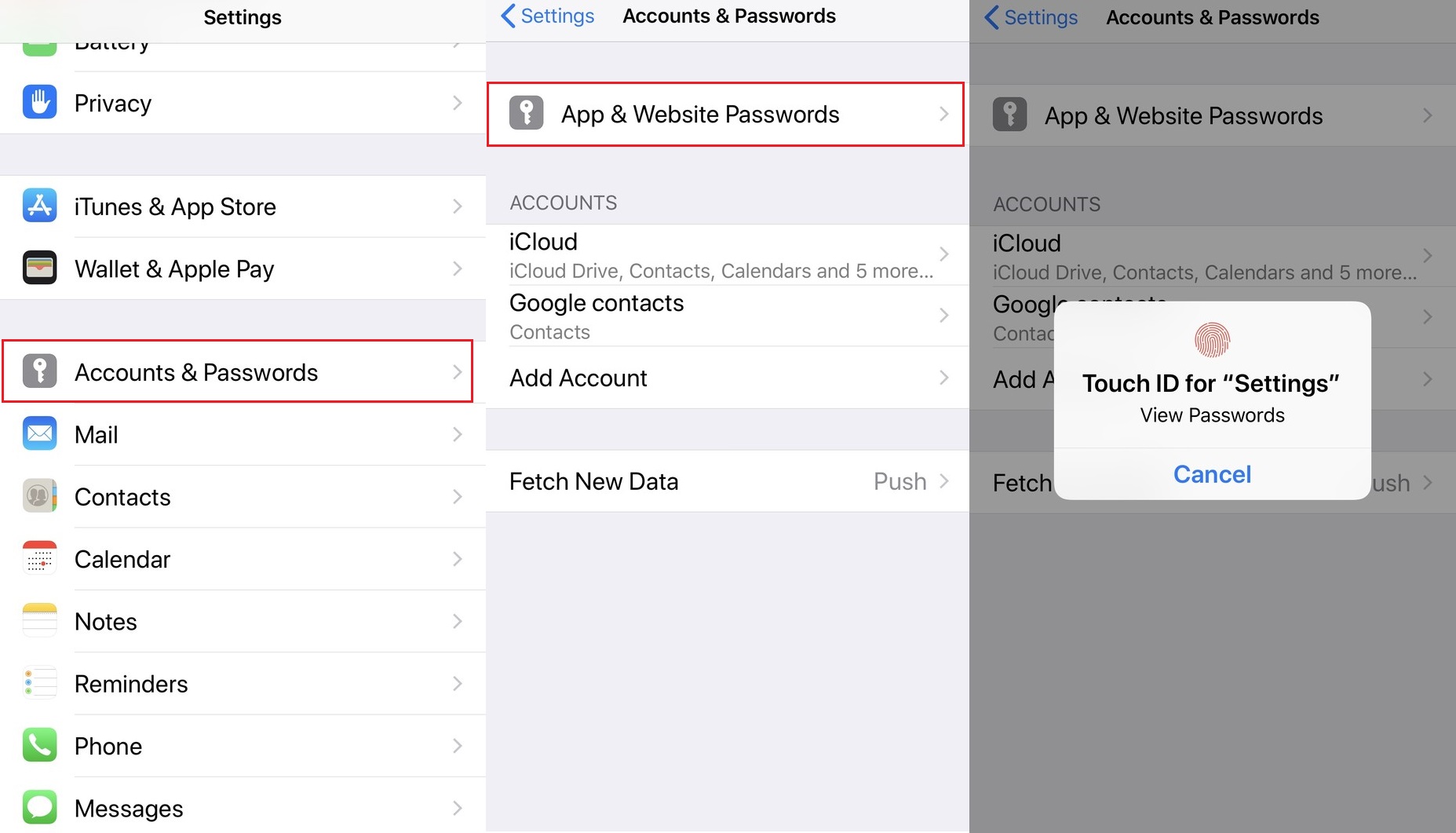 how-to-show-email-password-on-iphone-4-steps