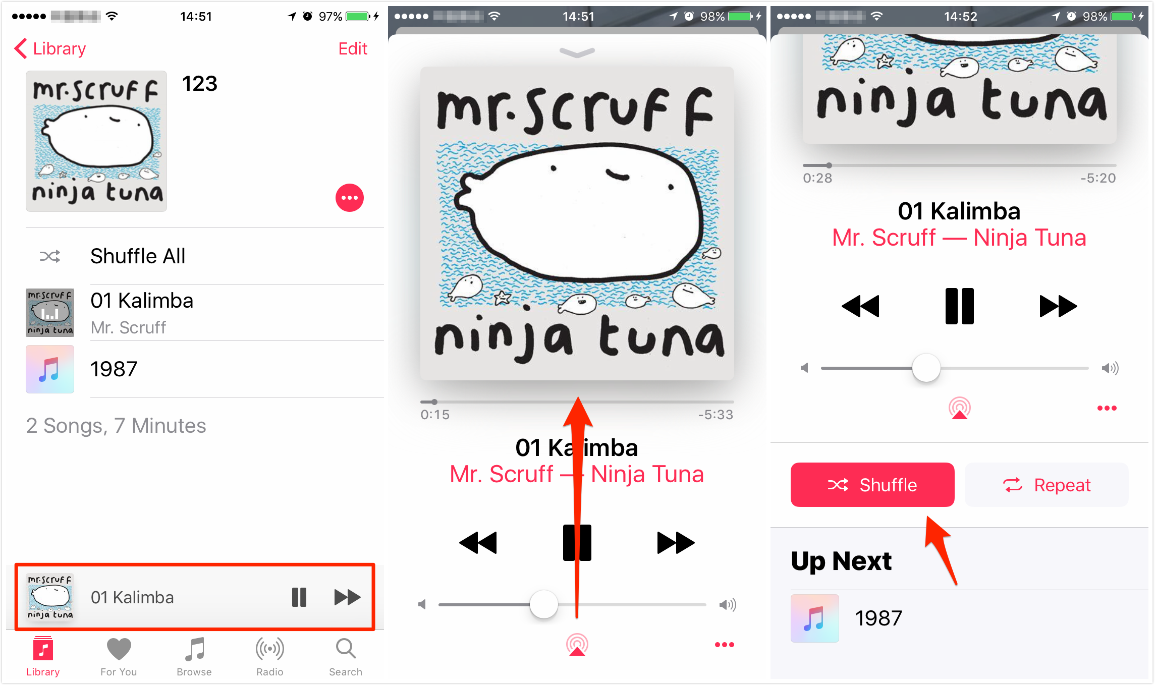 How to Shuffle Music on iPhone/iPad