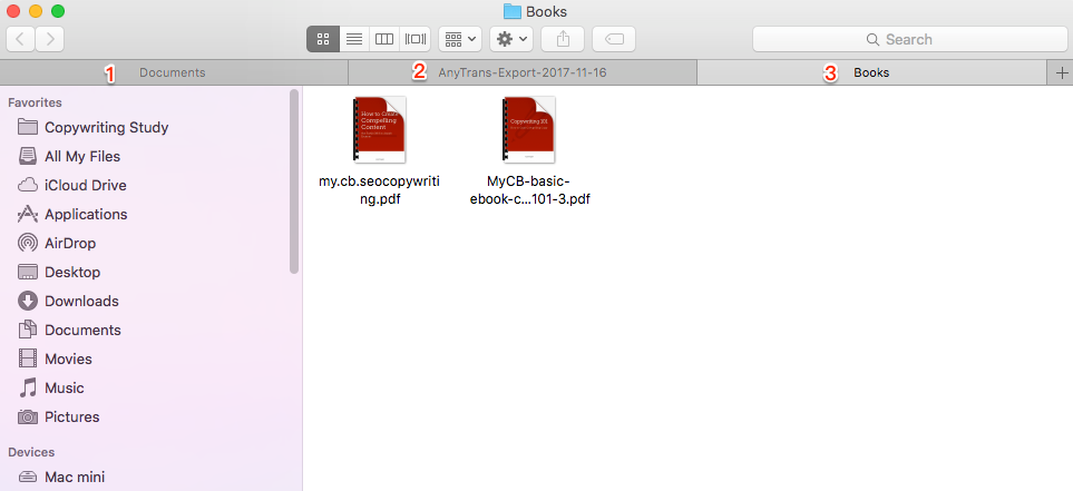 Check The Transferred Books on Mac – Screen Overview