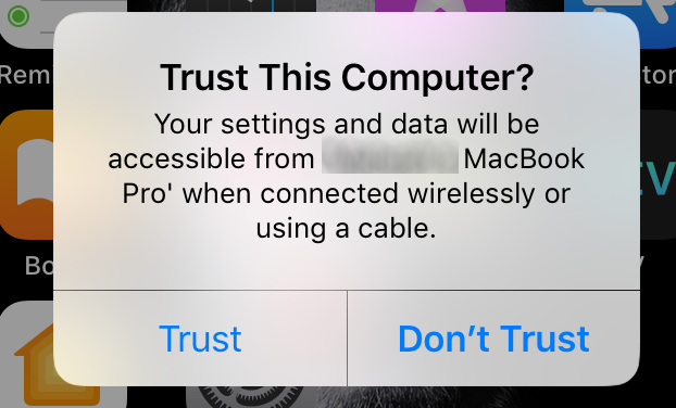 Trust Mac on your iPad