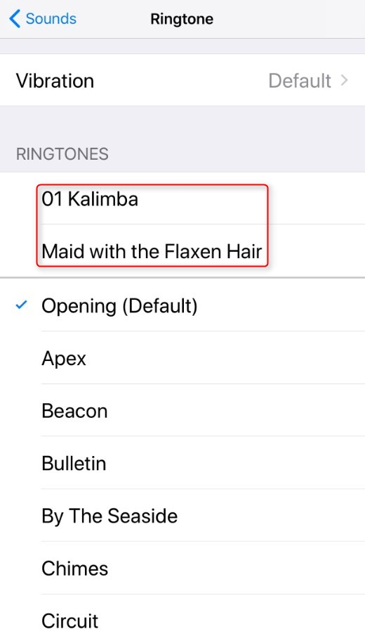 How to Transfer Ringtones from iPad to iPhone - Step 4