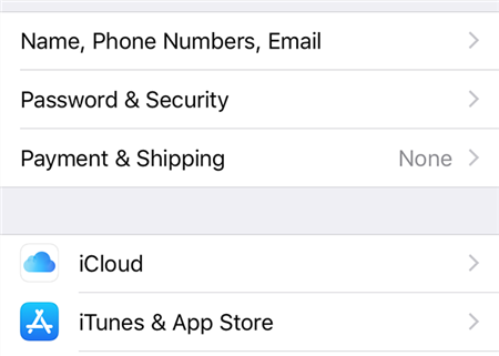 Access iCloud Password Section On The iPhone