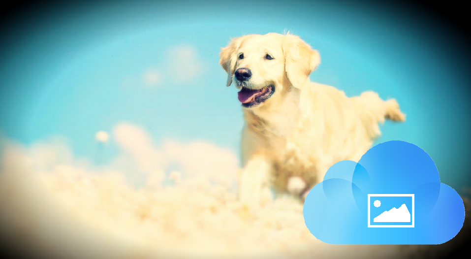 View iCloud Photos Online