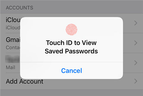 Put Your Finger on the Home Button to Verify ID
