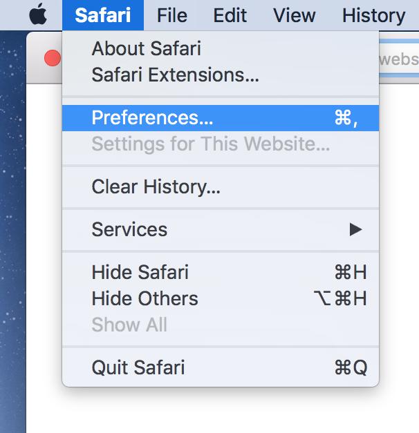 Launch settings panel in Safari for Mac