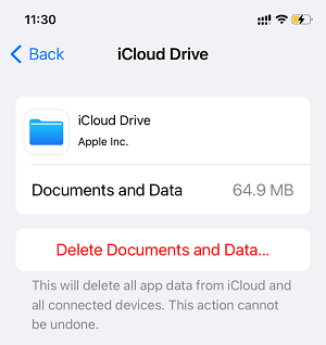 iCloud Document and Data