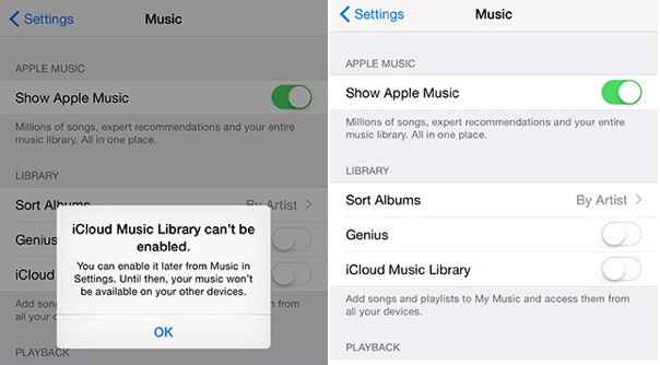 Simple Steps to Fix 'iCloud Music Library Cannot be Enabled'