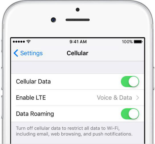 iOS 11.2/11.1/11 Problems - Cellular Data Issues