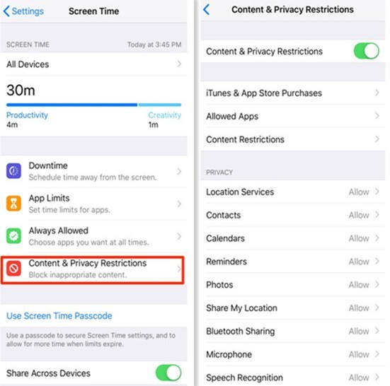 How to Access the Restrictions on iPhone/iPad – Step 3