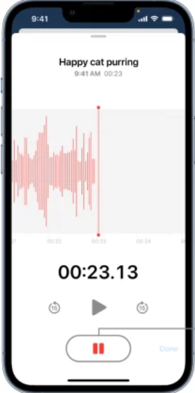 iOS Voice Memos