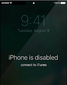 iPhone 12 Disabled