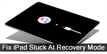 iPad Stuck in Recovery Mode While Updating to the Newest iOS