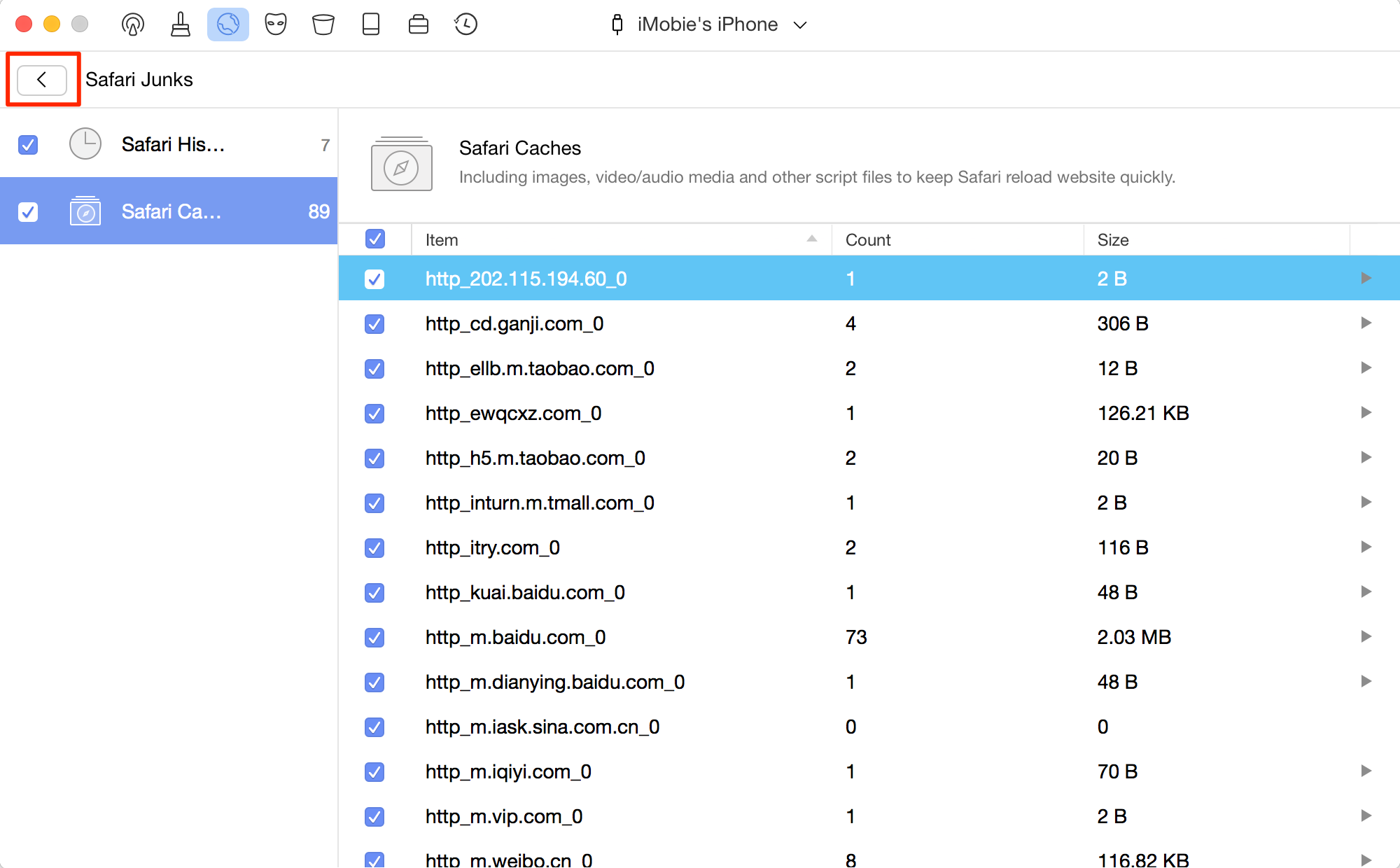 How to Clean Browsing History and Website Data on iPhone/iPad Completely – Step 3