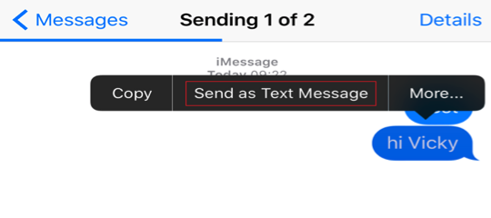 Send Message as SMS Text Message - Method 2