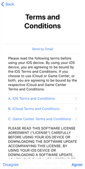 iPhone Stuck on Terms and Conditions