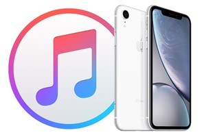 anyfix iphone review