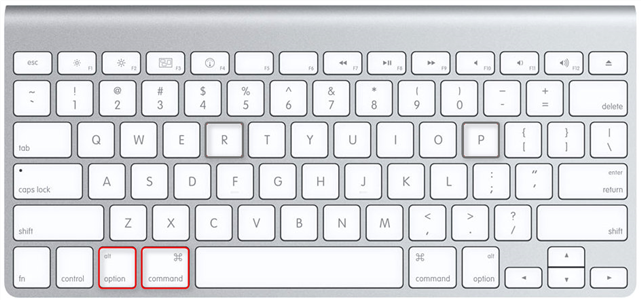 Pressing Command and Option Keys for Mac