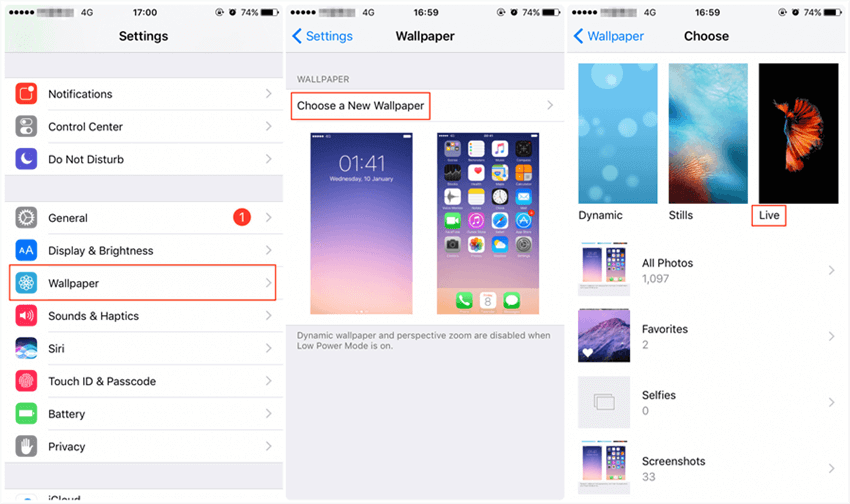 How To Fix Iphone 12 11 Xs X 8 Live Wallpaper Not Working