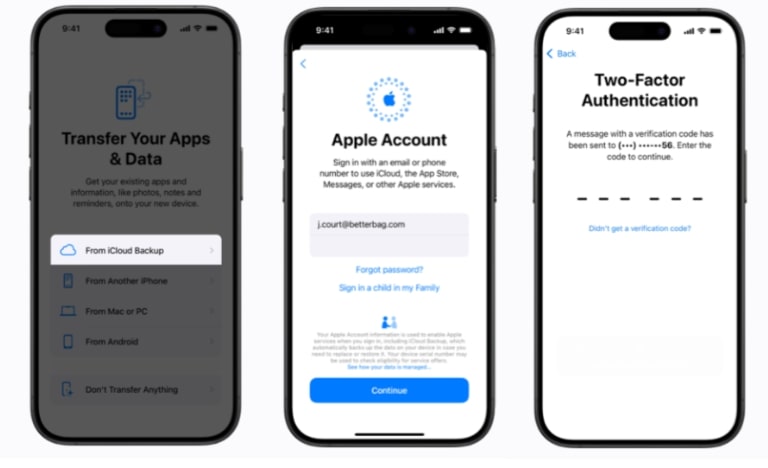 Log in iCloud Backup