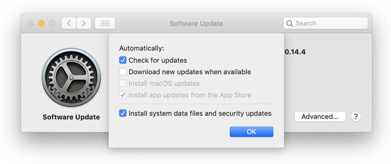 Check Mac System Update