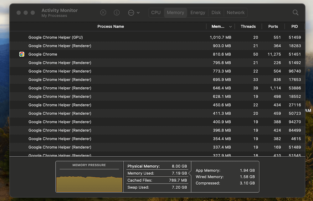 macOS Activity Monitor Memory report