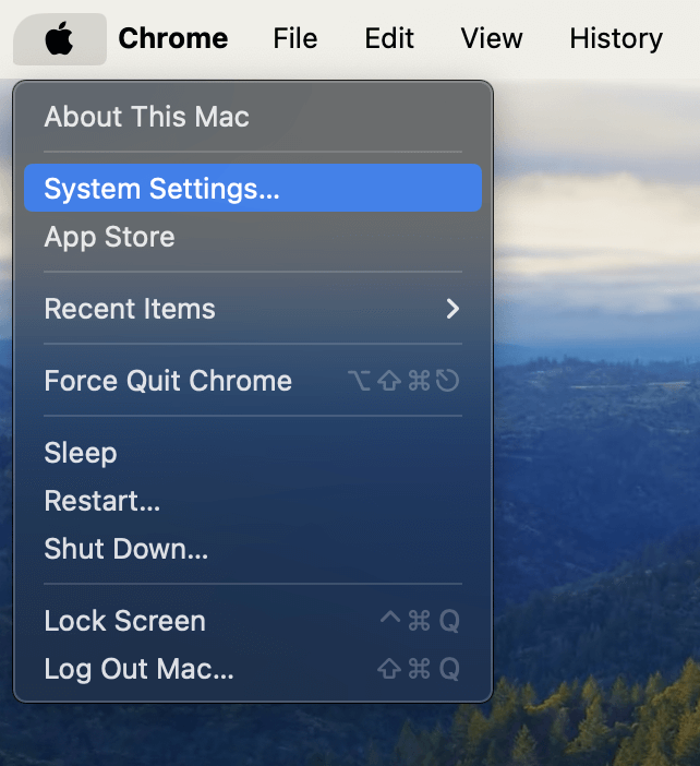 macOS System Settings