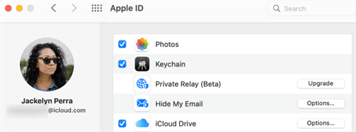 Manage iPhone Passwords via iCloud Keychain