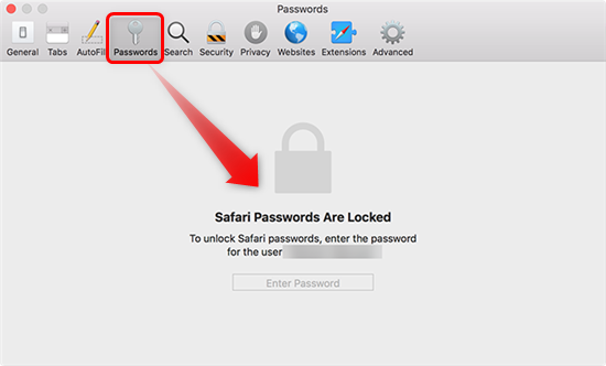 apple safari password manager