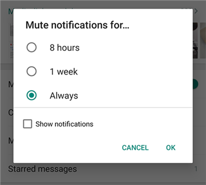Mute Notifications in WhatsApp