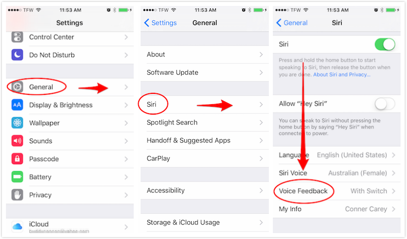 How to Mute Siri with Ring Switch on iPhone/iPad