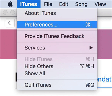 Open Preferences Panel in iTunes on the Computer