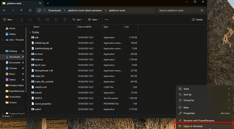 Open Terminal or PowerShell