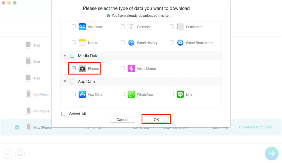 download selected files from iCloud backup
