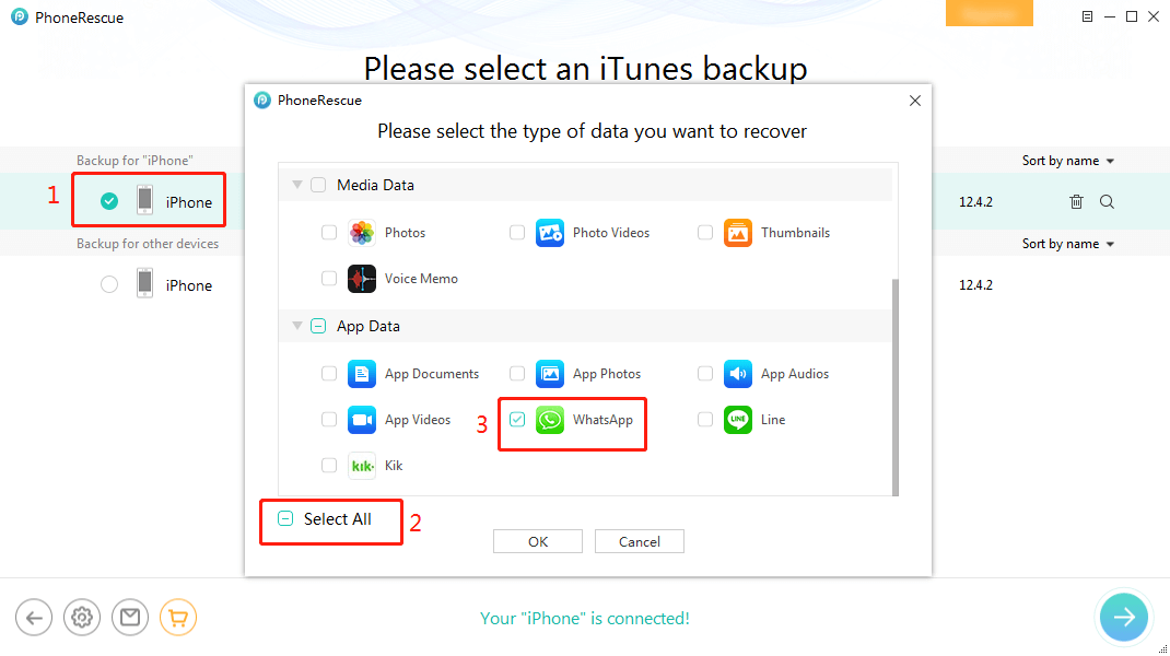 Recover WhatsApp from iTunes Backup
