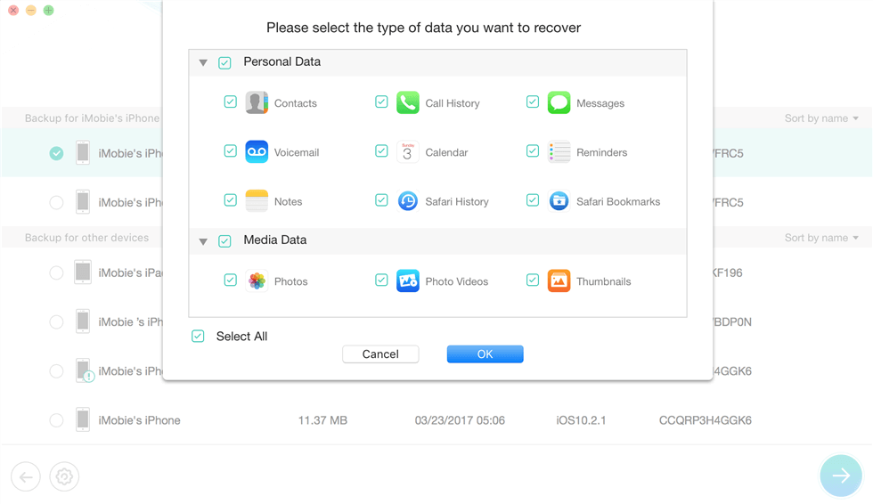 ibackup extractor crack torrent