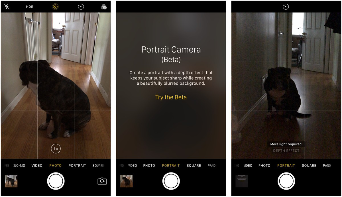 How to Get Portrait Mode on iPhone 7 Plus