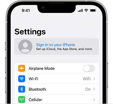 Profile as Shown on Settings of iPhone