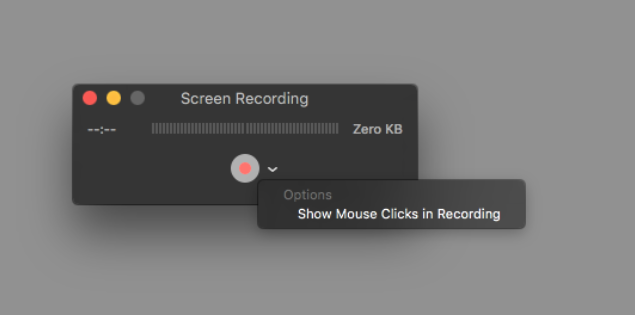 QuickTime Screen Recording