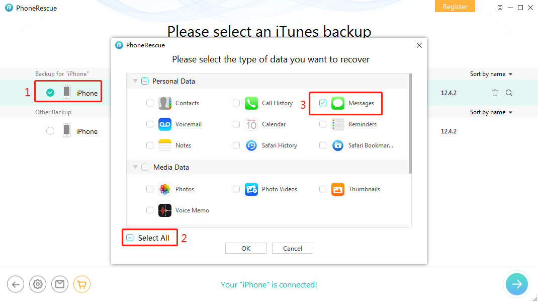 Scan the iTunes Backup