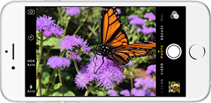 Recover Deleted Photos on iPhone 6 (Plus)