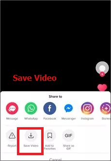 Recover Your Liked Videos on TikTok