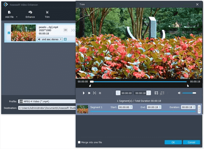 Aiseesoft Video Enhancer