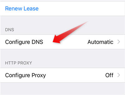Modify your WiFi DNS Settings