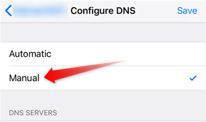 Change your iPhone DNS