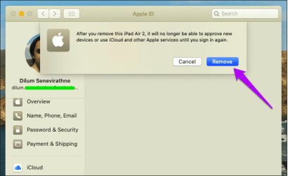 Delete Apple ID Device on Mac